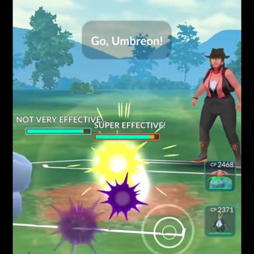 Pokémon GO 217-PVP