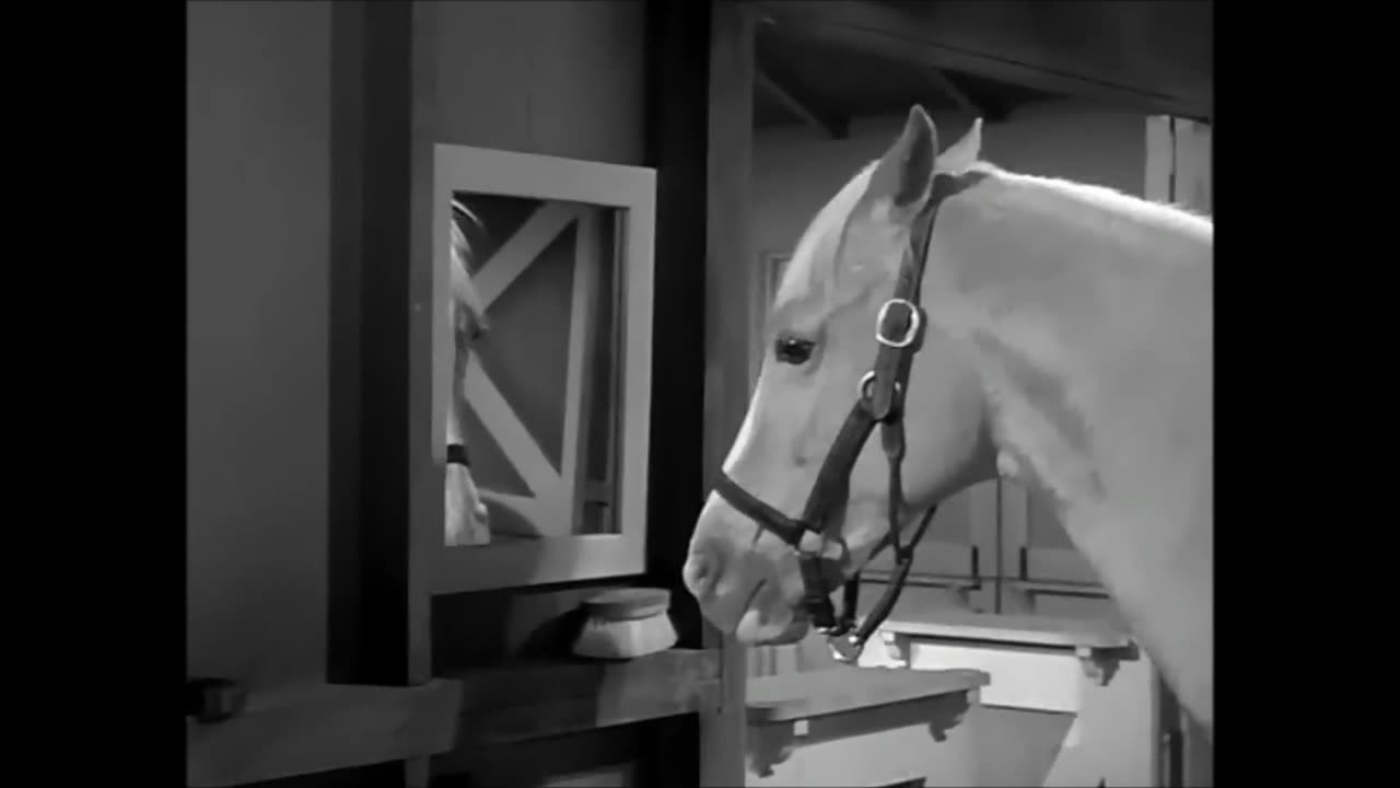 Could Mr. Ed Be Wrong About CO2?