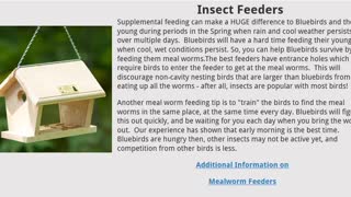 Choosing the right bird feeder