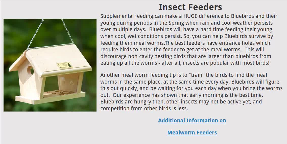 Choosing the right bird feeder