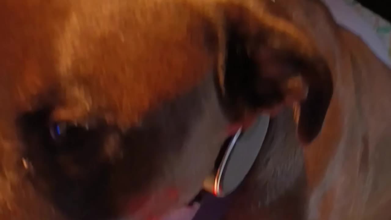 Another one