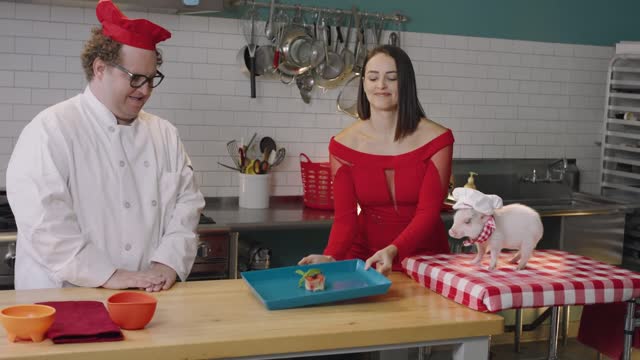 The Cat Cooking Show
