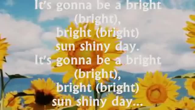 LOVE SONG I Van see clearly now 🎙️Jimmy Cliff