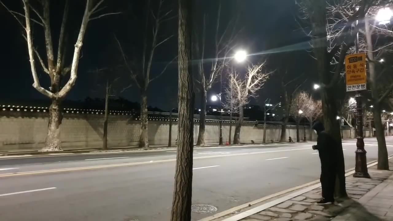 20200322_V3_S01(JD0lafn5wEU)신의 조화인가_ 오죽하면 말을 못하는 나무조차 청와대와 국민들에게 이런 요구를 할까_