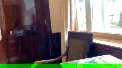 20191006文贵先生直播：网络不太稳定，试试。