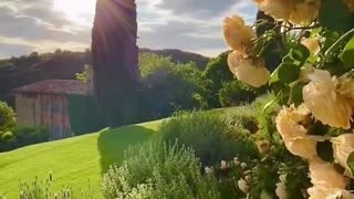 Golden light in Tuscany 🌅