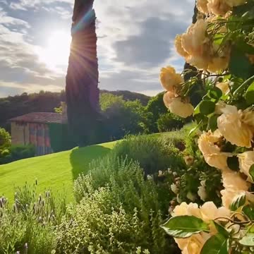Golden light in Tuscany 🌅