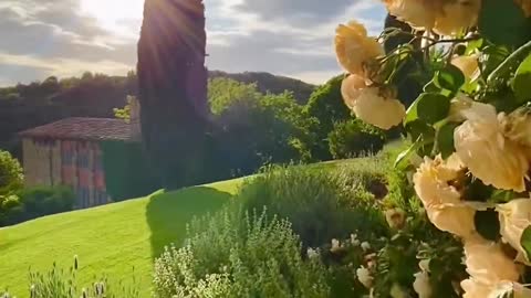 Golden light in Tuscany 🌅