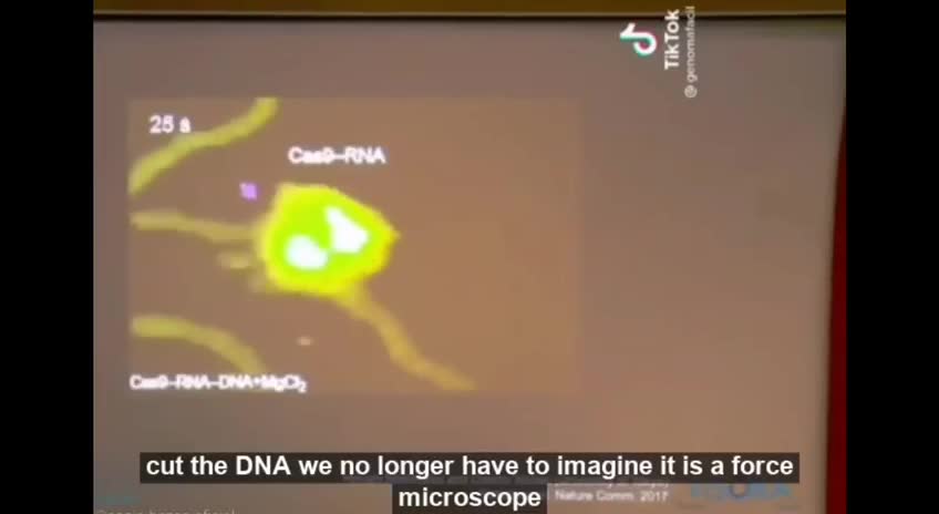 Real-time view how the protein contained in the Bio Weapon cuts the DNA