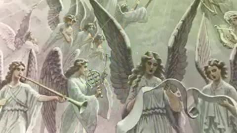 Canto dei grilli rallentato 280 volte diventa un coro angelico
