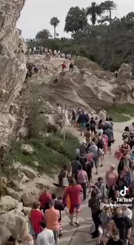 Wow | Check Description