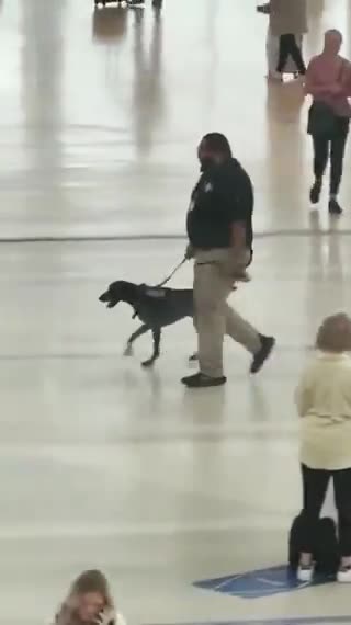 Fire this GUY ASAP!! The Way He is swinging the Dog around...