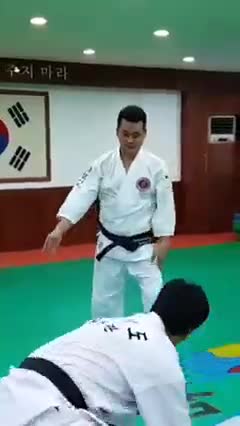 Hapkido