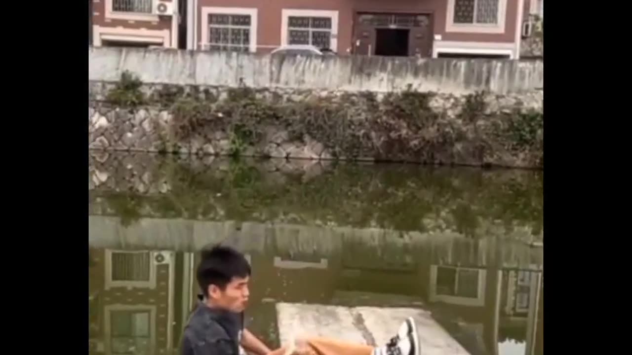 Laugh Till You Drop: The Best Funny Videos Compilation