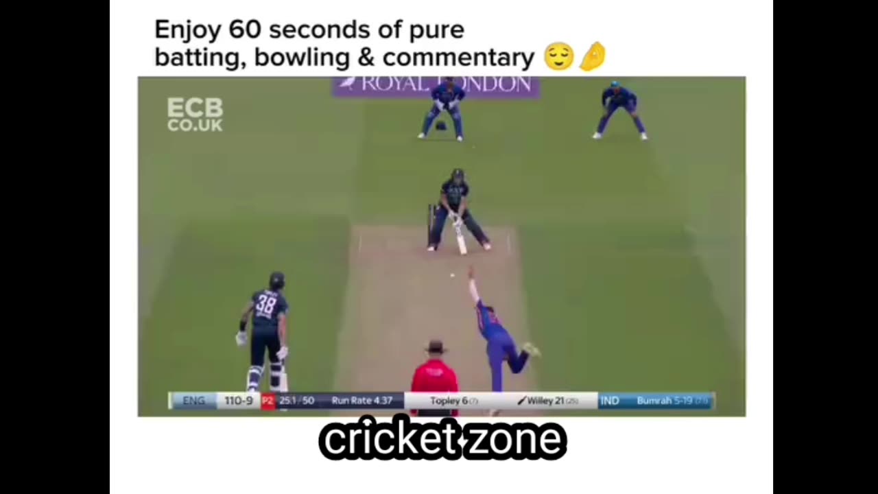 60 second of cricket