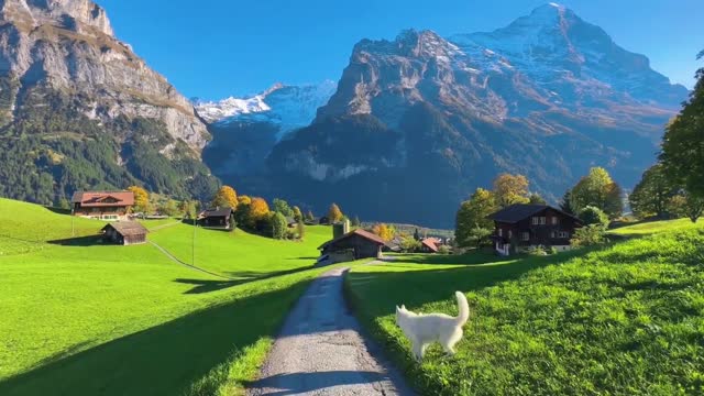 Mountain scenery