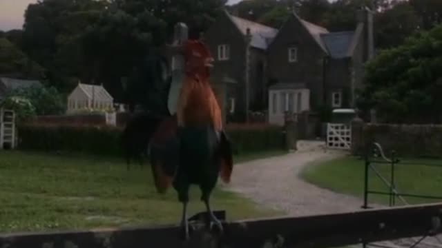 you know what I mean