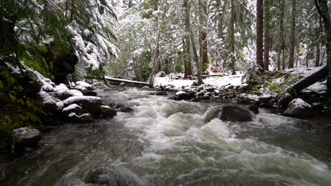 Cozy Creek