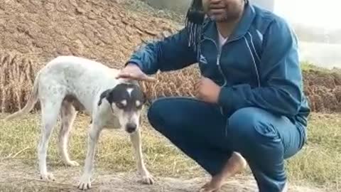Dog video 😂