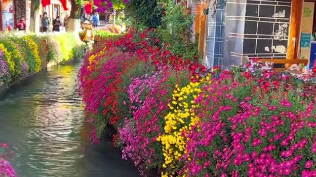 Old Town of Lijiang