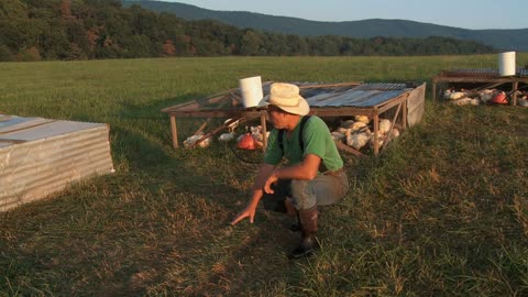 Farmageddon (Full Documentary)