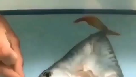 This is a beautiful and charming water-dwelling species