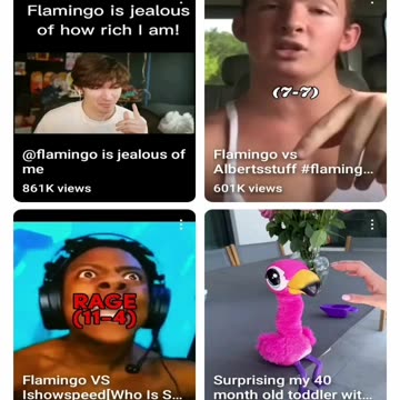 Why do you love flamingo?