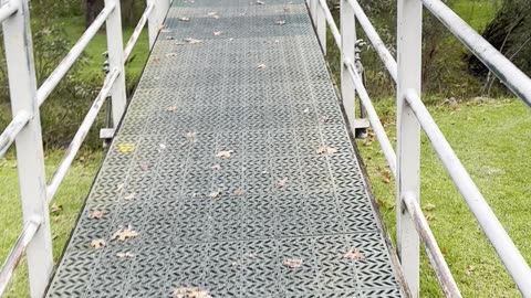 Beauty of Australia 🇦🇺