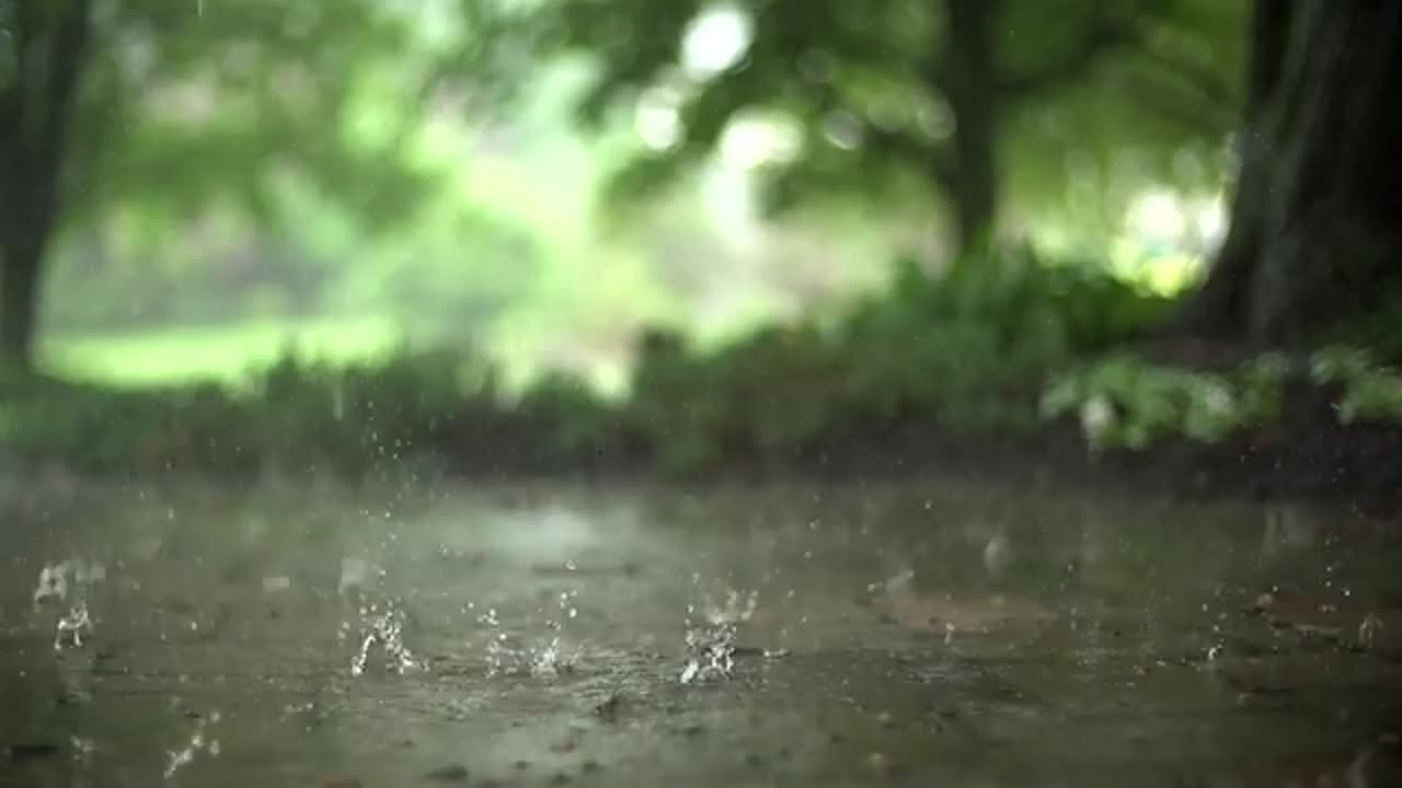 Rain Stock Footage (Slow Motion)