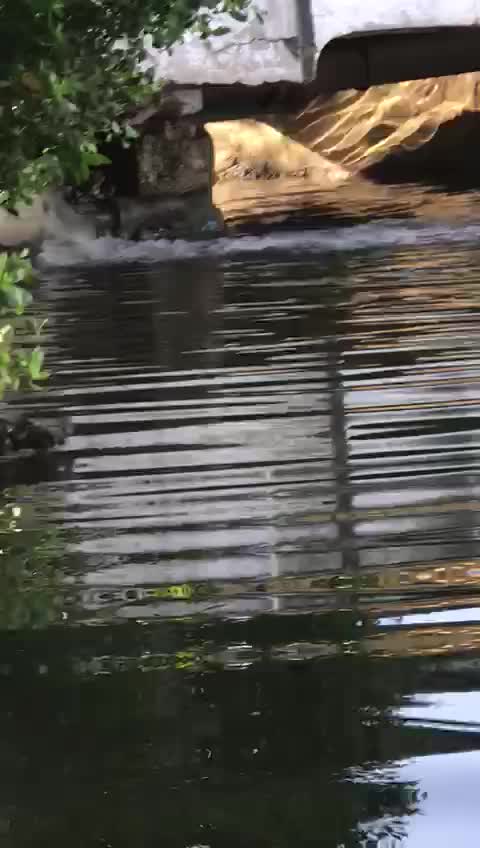 Rotura de tubería en Manga