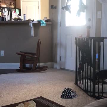 Baby Landon wants to go Outside