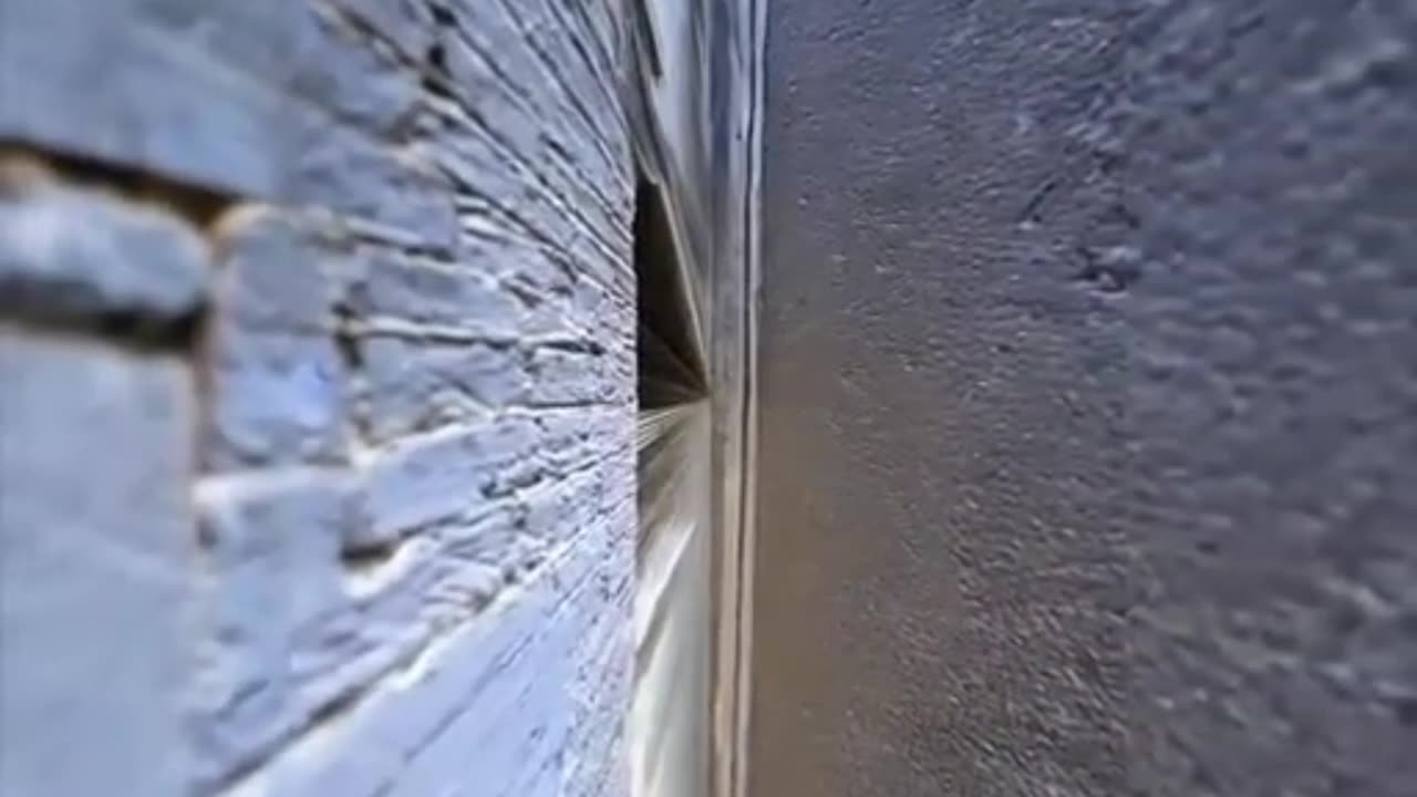 The great wall zoom