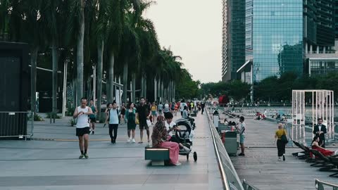 The Beauty of Singapore 新加坡的日與夜 Cinematic Travel Film