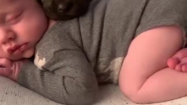 New born puppy & cute baby sleeping