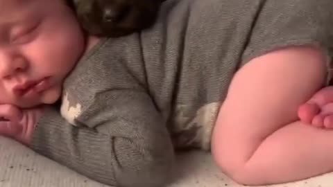 New born puppy & cute baby sleeping