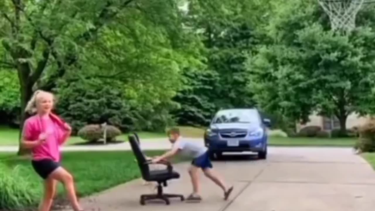 funny animals video