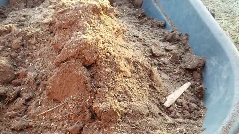 Composting with Chicken manure