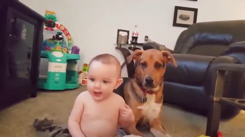 Baby and Dog Move the Same