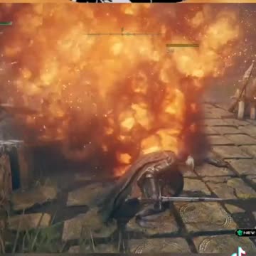 Elden Ring Shorts - WTF just happened?!