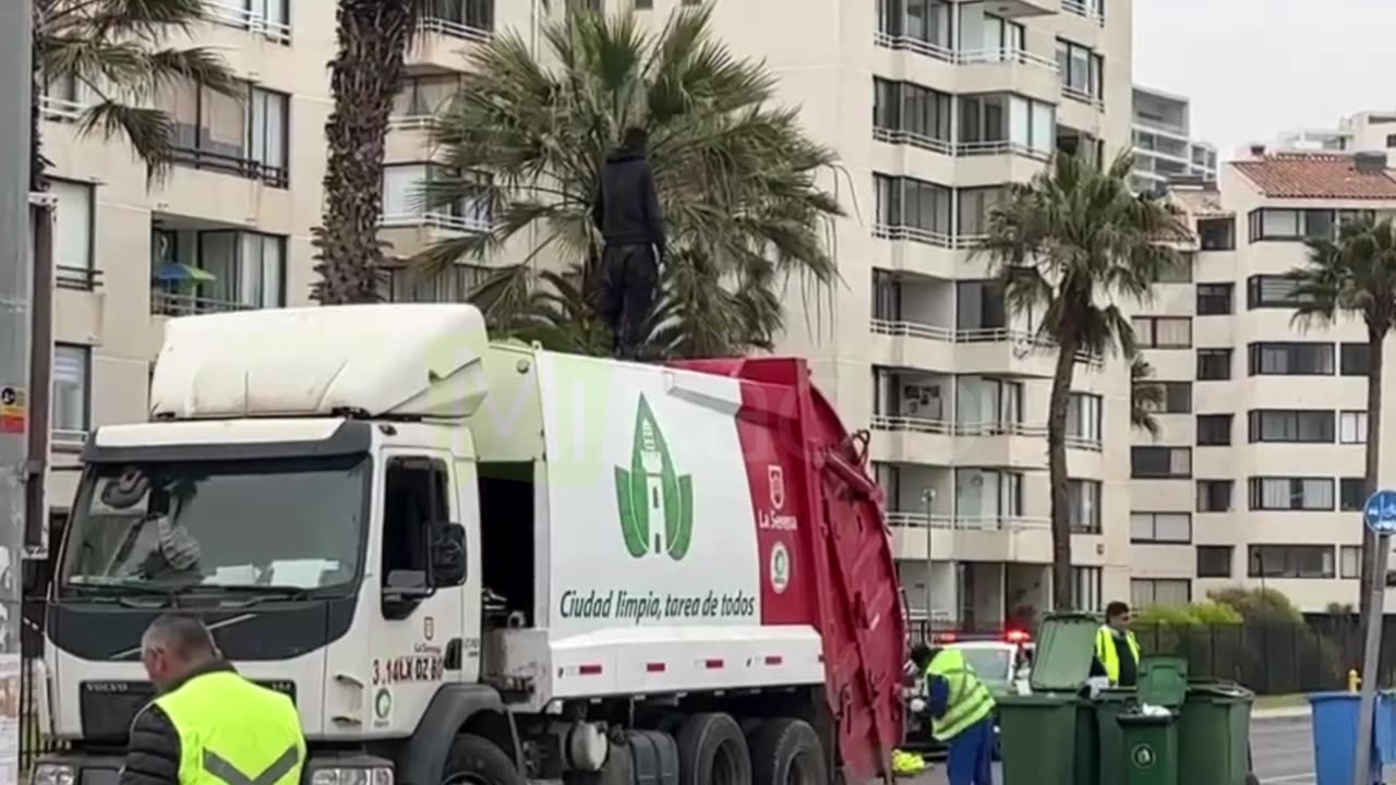 RIÑA EN AV DEL MAR