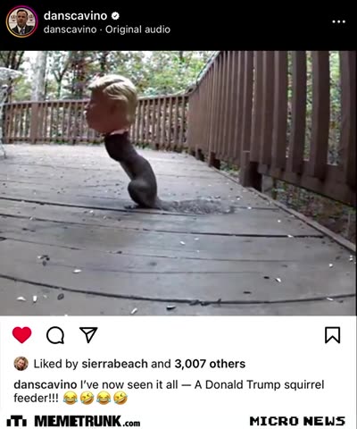 A Donald Trump squirrel feeder😂🤣