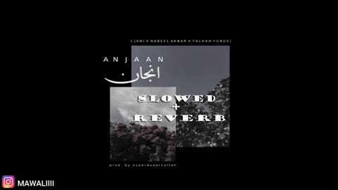 JANI Anjaan (slowed & reverb)