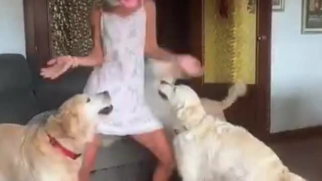 Golden Retriever funny videos 2021 #Shorts