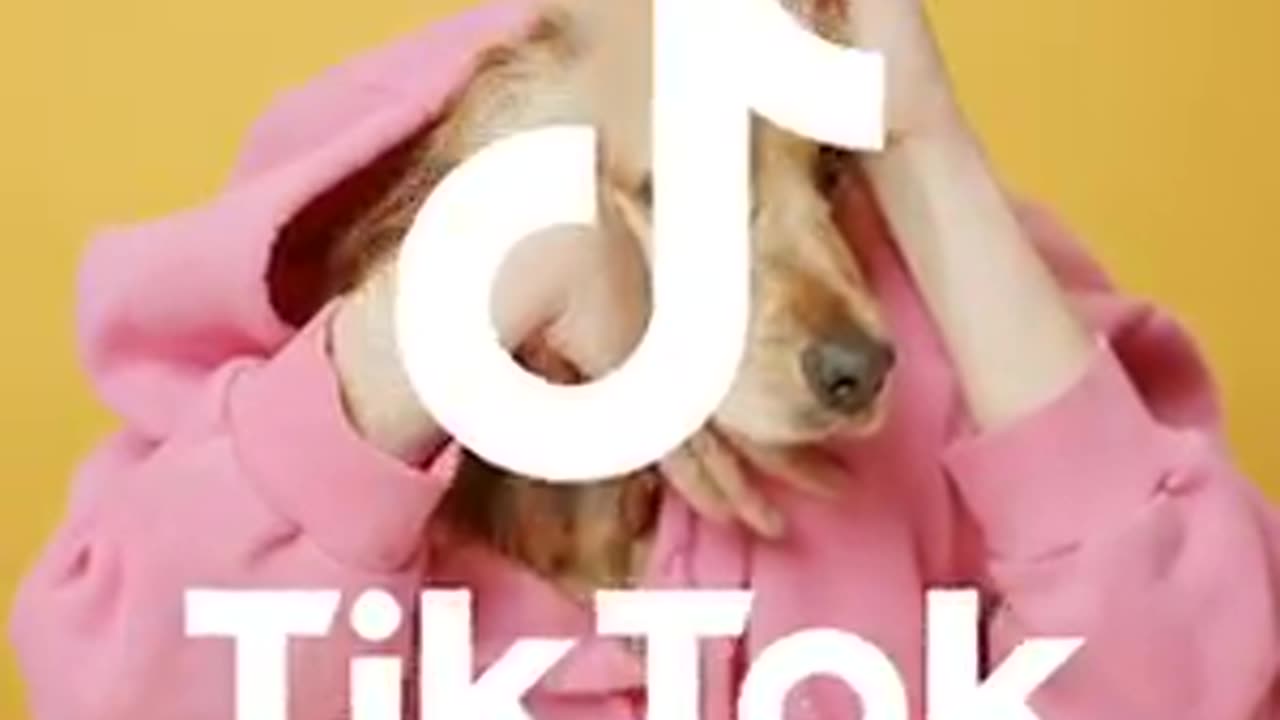 Tag to tiktok user