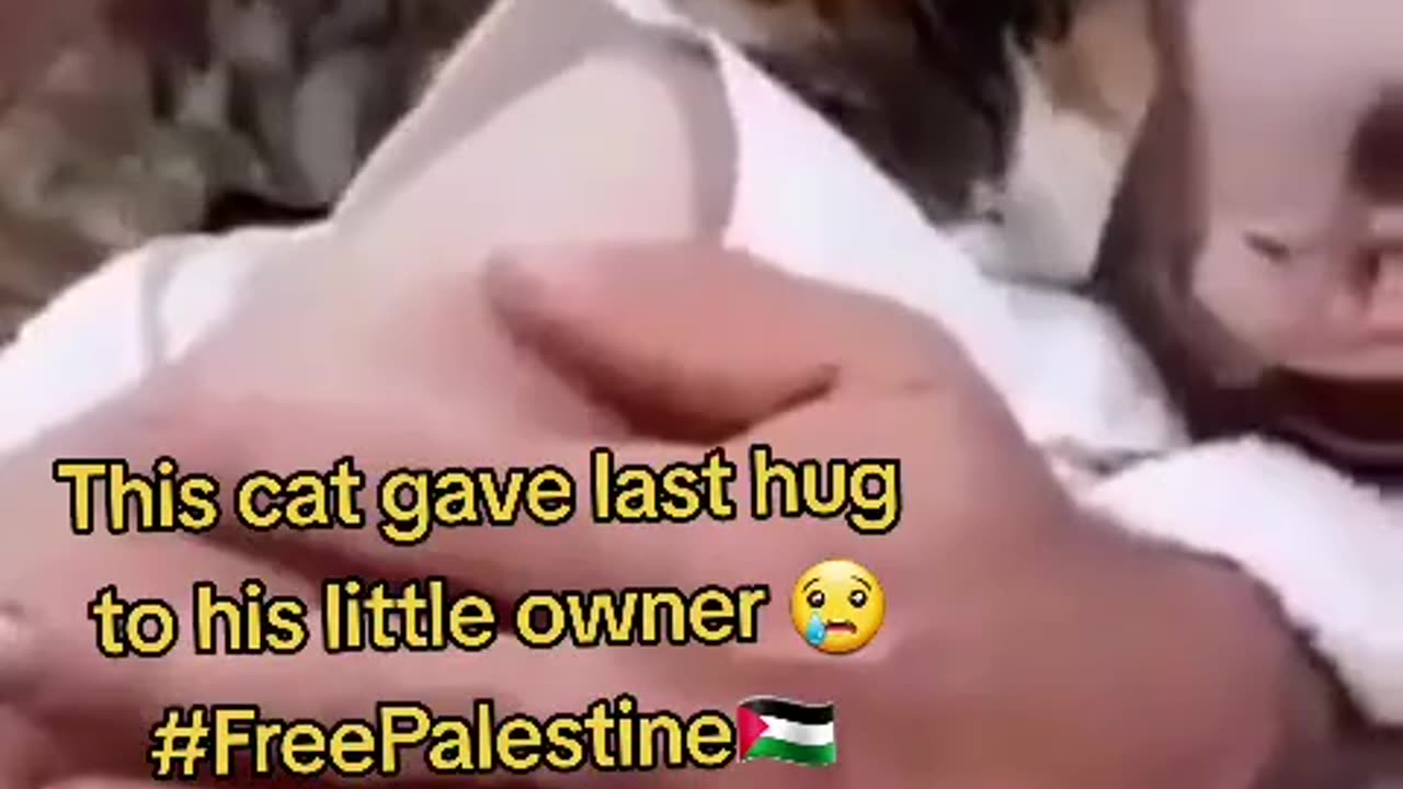 ANIMALS AND PETS HAS LOVE FOR CHILDS AND HUMANITY, CHILD KILLER ISRAEL HAS NON SENSE AT ALL