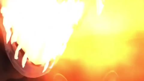 Cat soul left its body