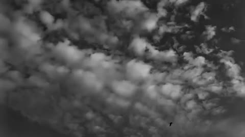 The beautiful cloud