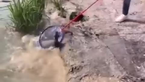 Amazing rural fishing style