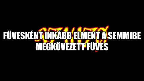 Szkízó - Megkövezett füves (dalszöveges audió)