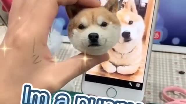 for you